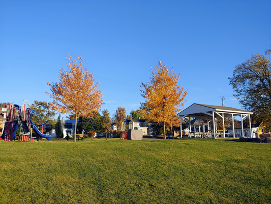 Galvin Community Dog Park photo 2
